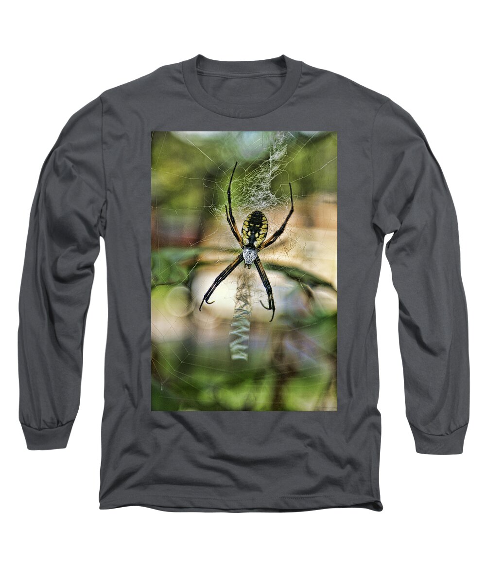 Spider Long Sleeve T-Shirt featuring the photograph Spider by Alan Hutchins