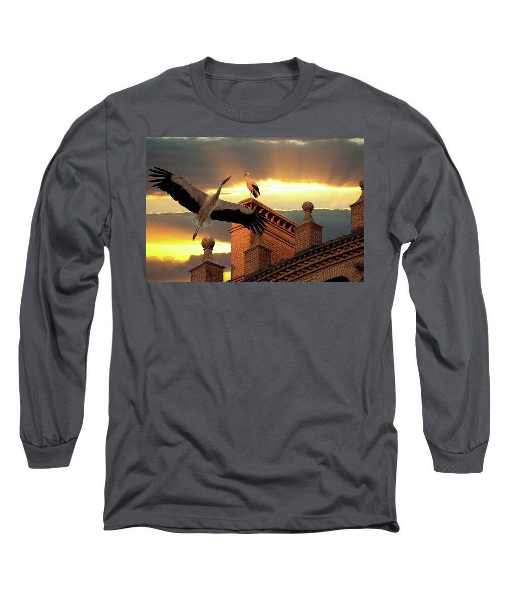 Stork Photographs Long Sleeve T-Shirt featuring the photograph Storks at Sunset by Harry Spitz
