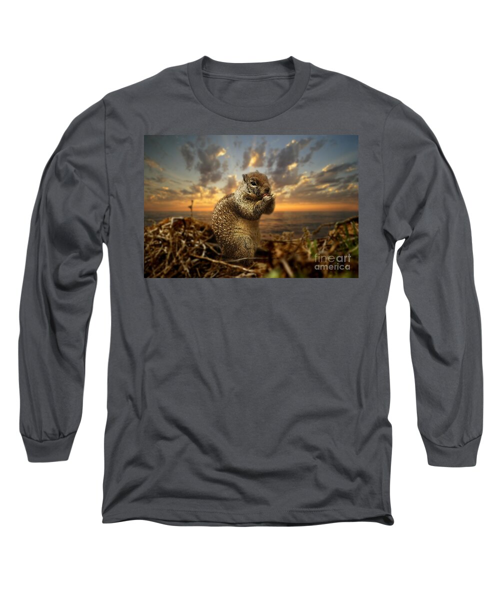 Sunset Long Sleeve T-Shirt featuring the photograph Sunset Squirrel by Daniel Knighton