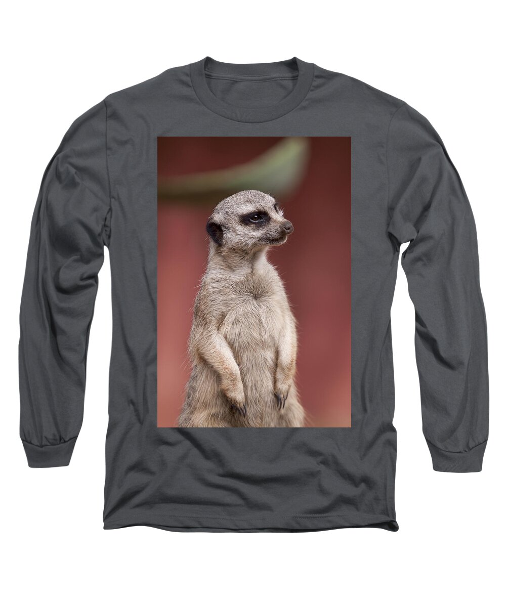 Meercats Long Sleeve T-Shirt featuring the photograph The Sentry by Michelle Wrighton