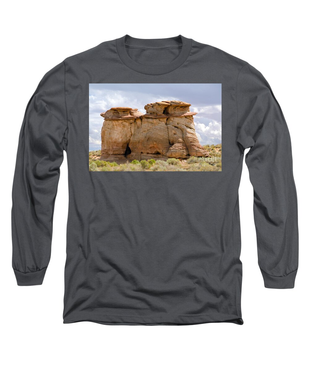 Shrub Long Sleeve T-Shirt featuring the photograph Three Fat Ladies by Donna Greene
