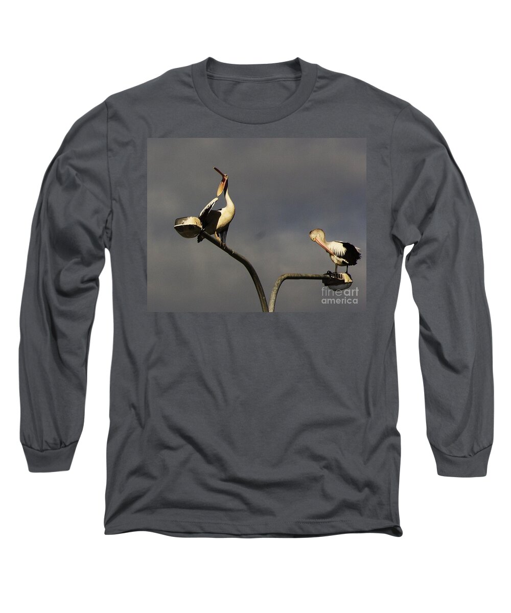 Australia Long Sleeve T-Shirt featuring the photograph Two on a pole by Blair Stuart