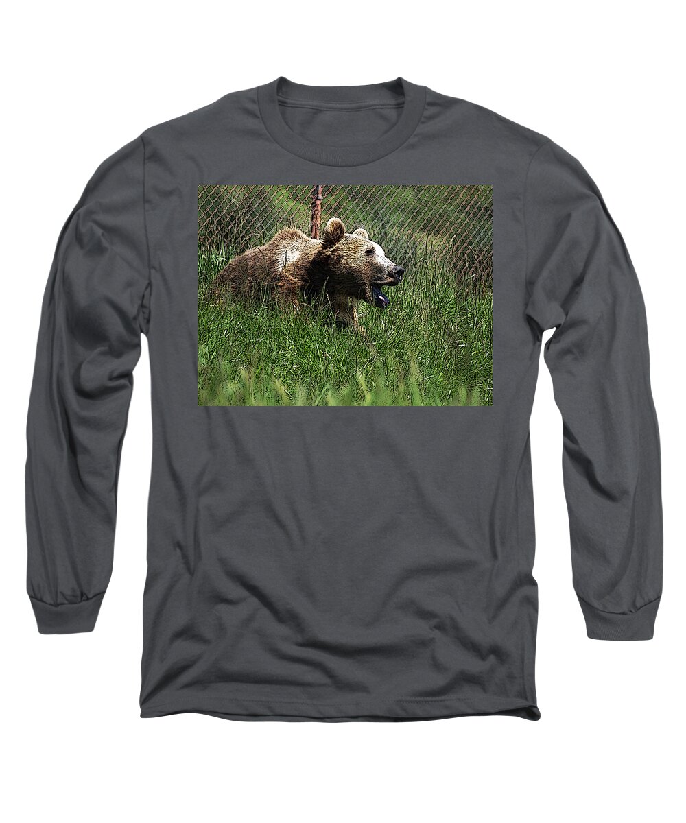 Wild Life Safari Long Sleeve T-Shirt featuring the digital art Wild Life Safari Bear by Teri Schuster