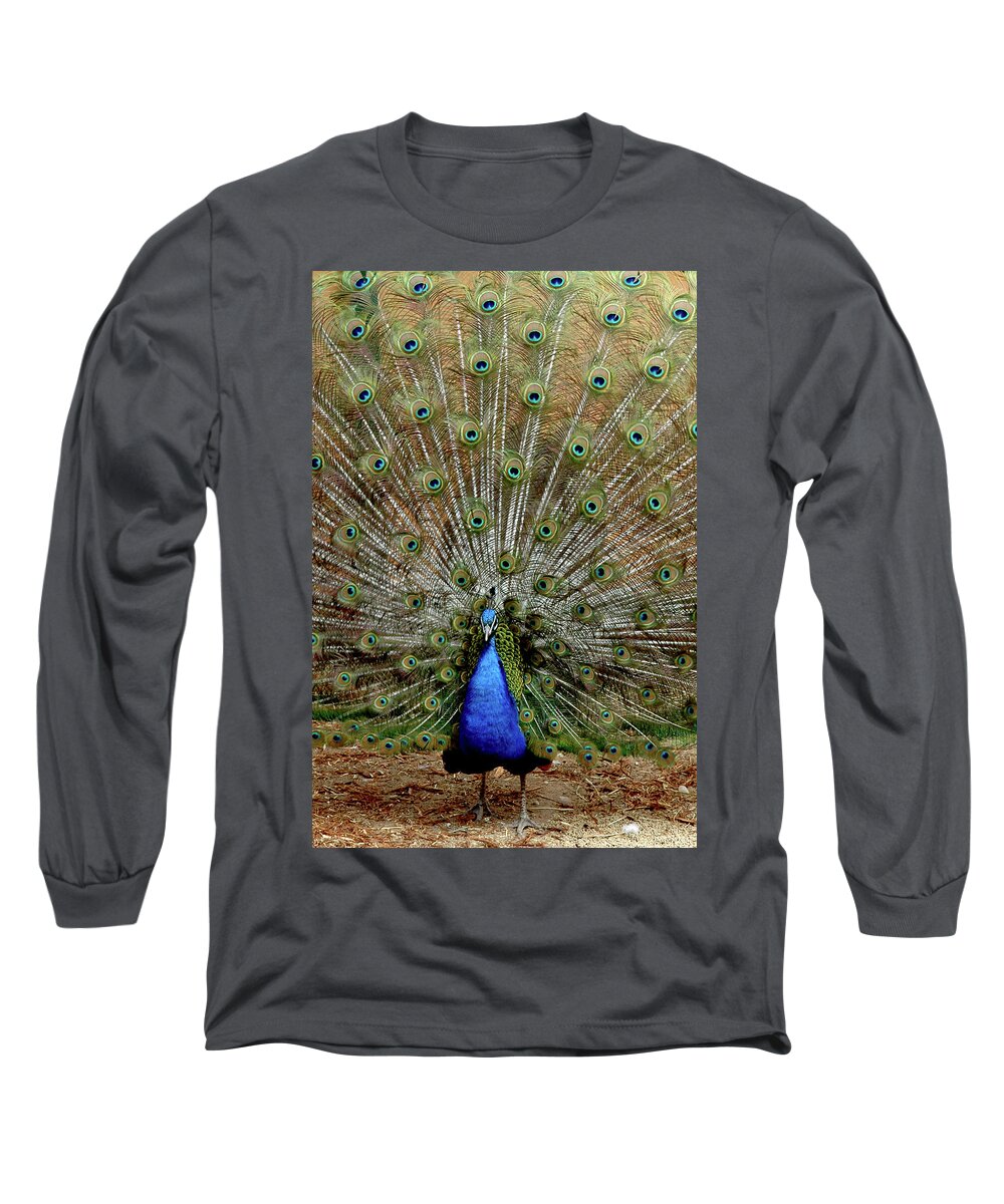 Usa Long Sleeve T-Shirt featuring the photograph Iridescent blue-green plumage by LeeAnn McLaneGoetz McLaneGoetzStudioLLCcom