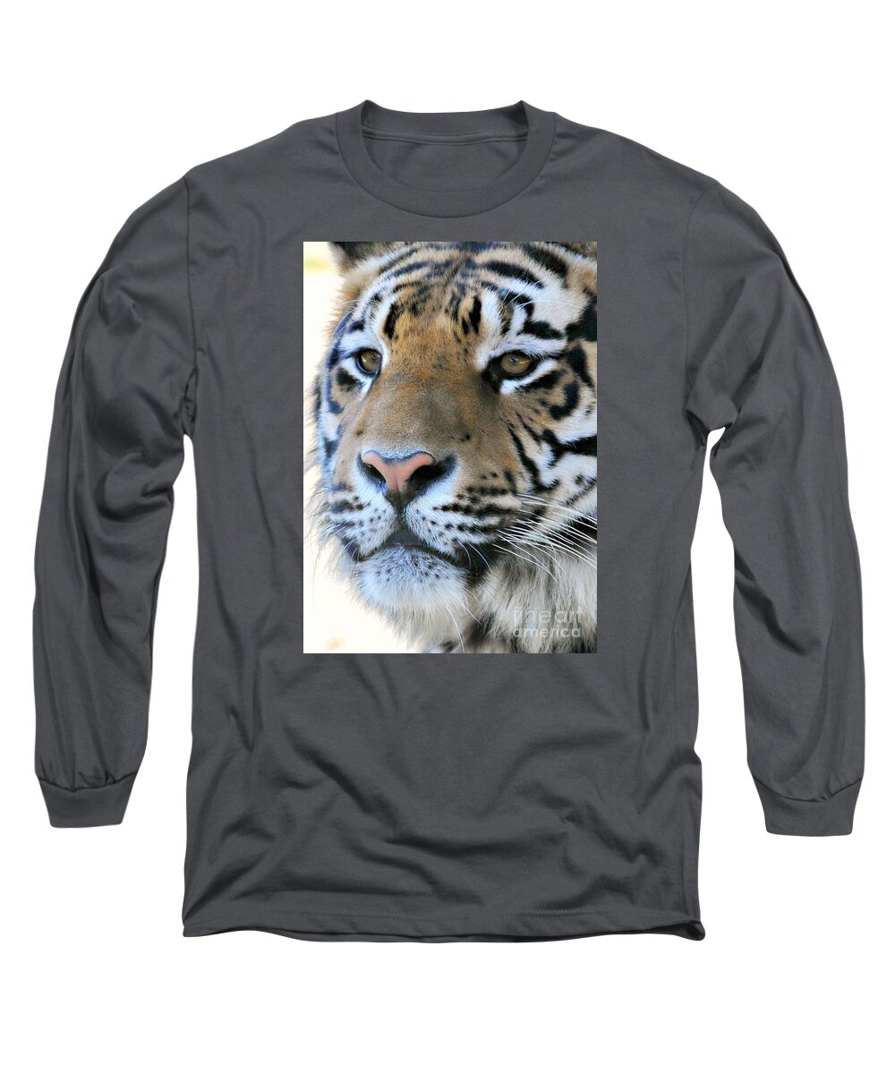 Tiger Long Sleeve T-Shirt featuring the photograph Tiger portrait by Mindy Bench