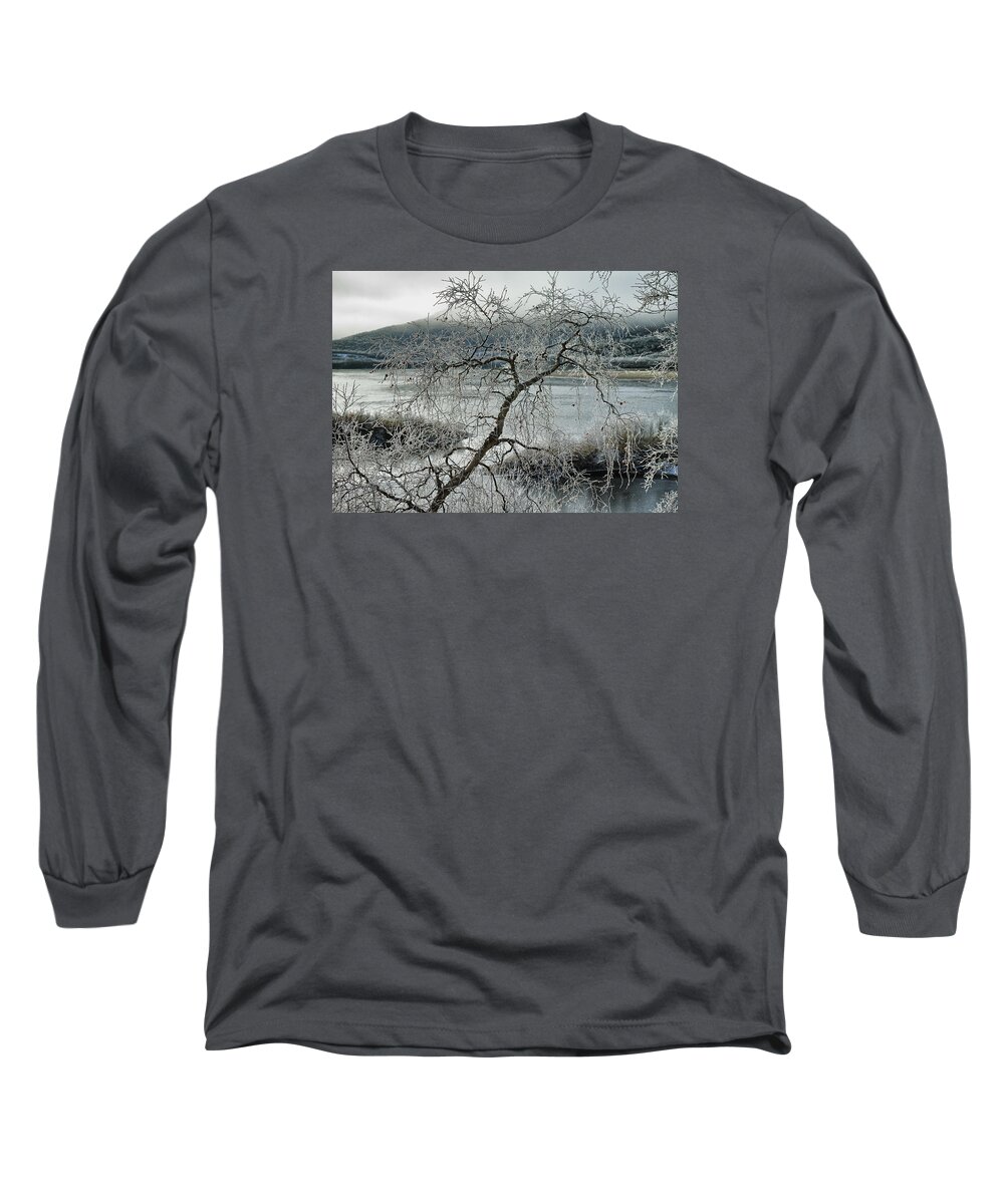 Birch Long Sleeve T-Shirt featuring the photograph An Arctic Birch #1 by Pekka Sammallahti