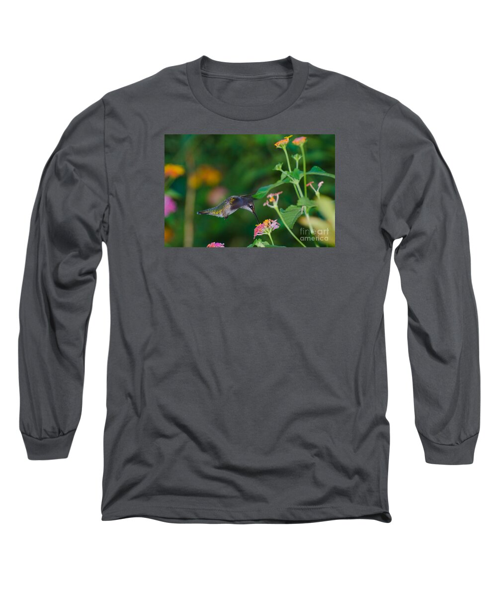 Bird Long Sleeve T-Shirt featuring the photograph Awesome Beauty #1 by Donna Brown