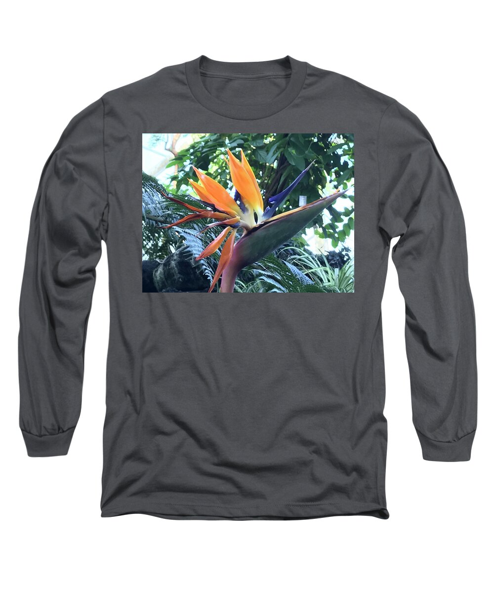 Flowers Long Sleeve T-Shirt featuring the photograph Bird of Paradise #1 by Jean Wolfrum