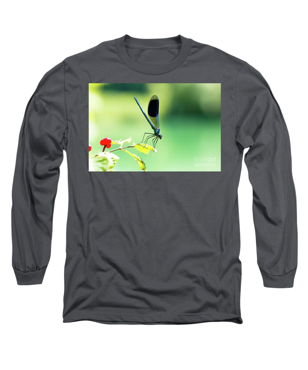 Countryside Long Sleeve T-Shirt featuring the photograph Broad-winged Damselfly, Dragonfly by Amanda Mohler