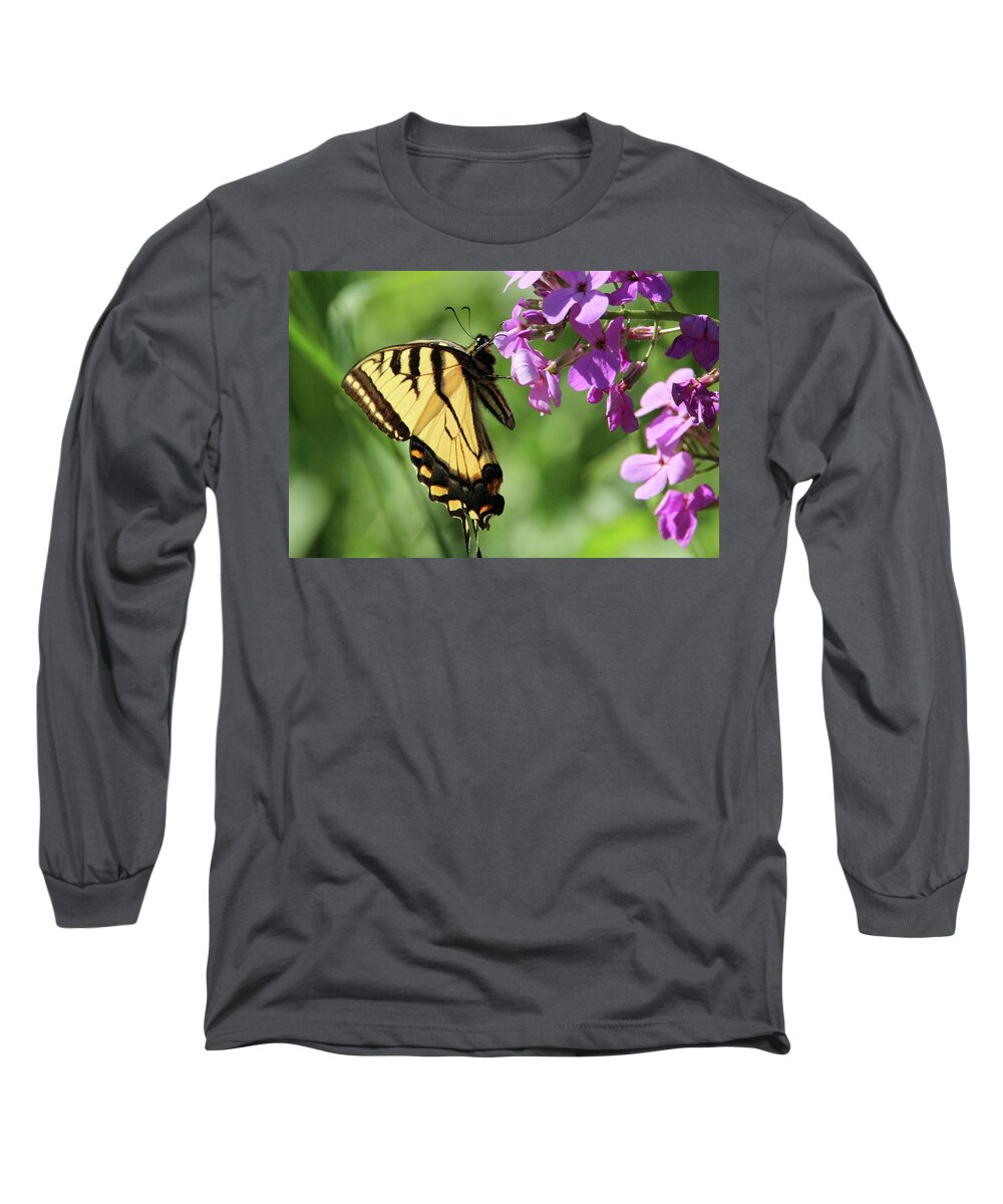 Nature Long Sleeve T-Shirt featuring the photograph Butterfly #1 by David Stasiak