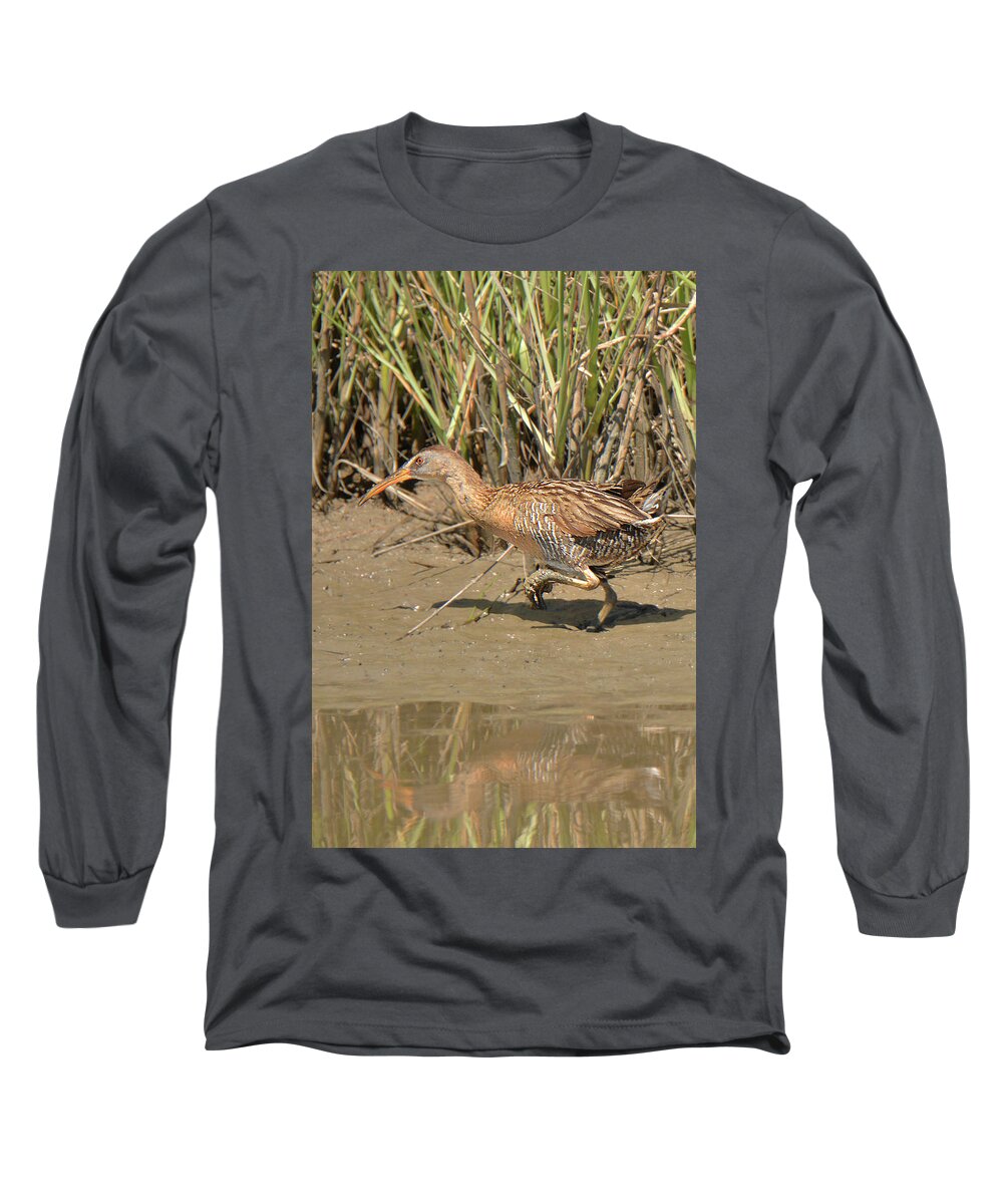 Bird Long Sleeve T-Shirt featuring the photograph Clapper Rail #1 by Alan Lenk