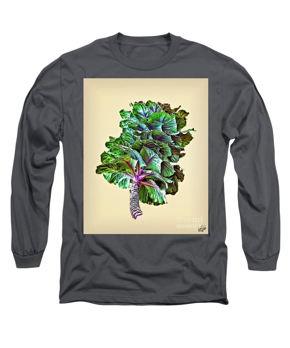  Long Sleeve T-Shirt featuring the photograph Decorative Cabbage #1 by Walt Foegelle
