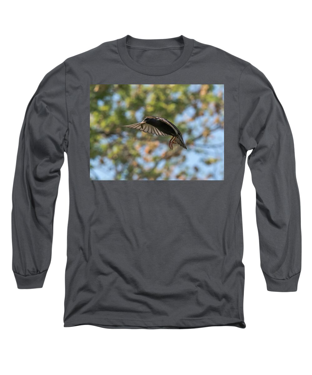 Starling Long Sleeve T-Shirt featuring the photograph European Starling  by Holden The Moment