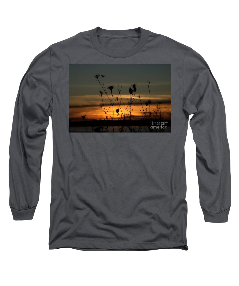 Nature Long Sleeve T-Shirt featuring the photograph Evening Light #2 by Marcia Lee Jones