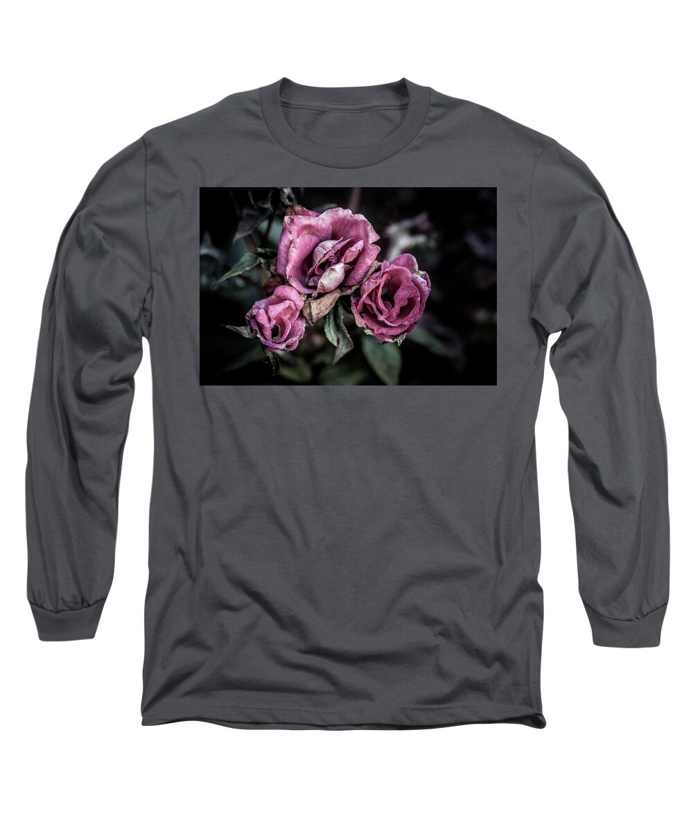 Fade Long Sleeve T-Shirt featuring the photograph Fading Beauty #1 by Allin Sorenson