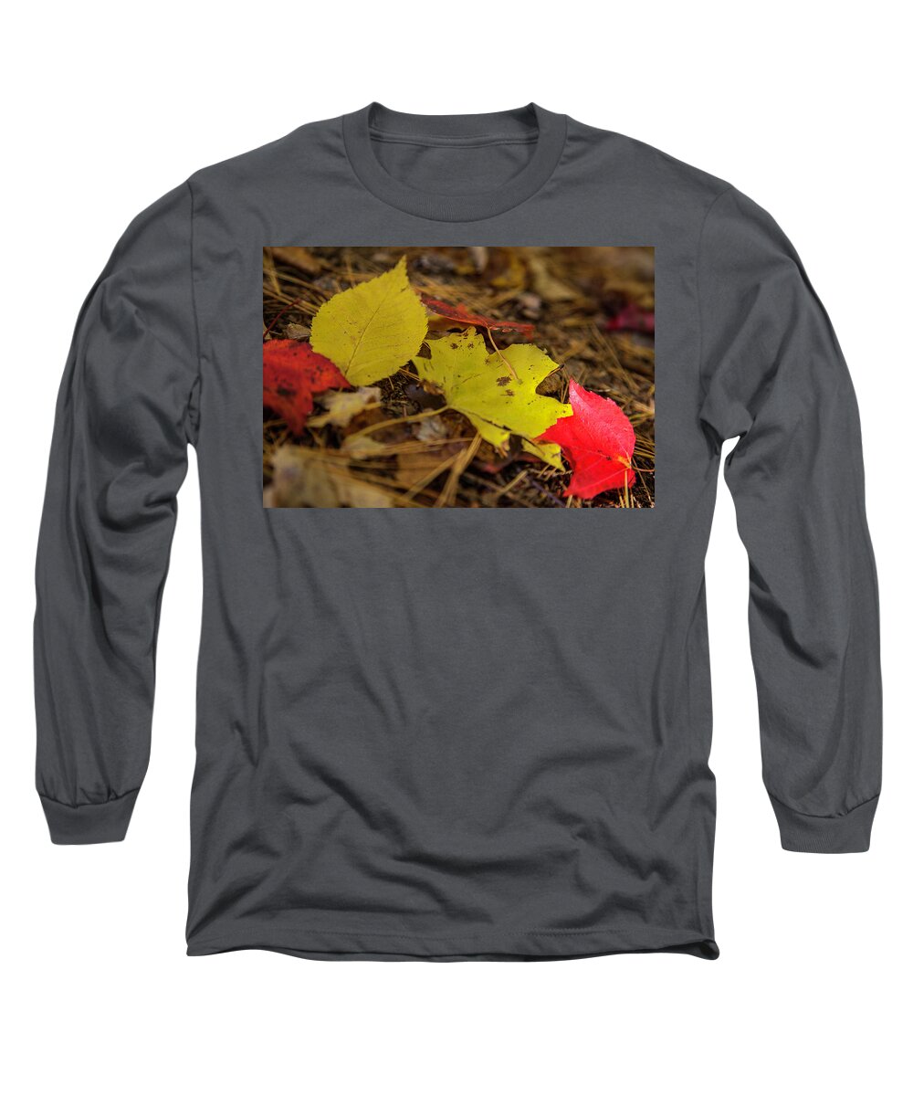 Fall Long Sleeve T-Shirt featuring the photograph Fall in New Hampshire #1 by Benjamin Dahl