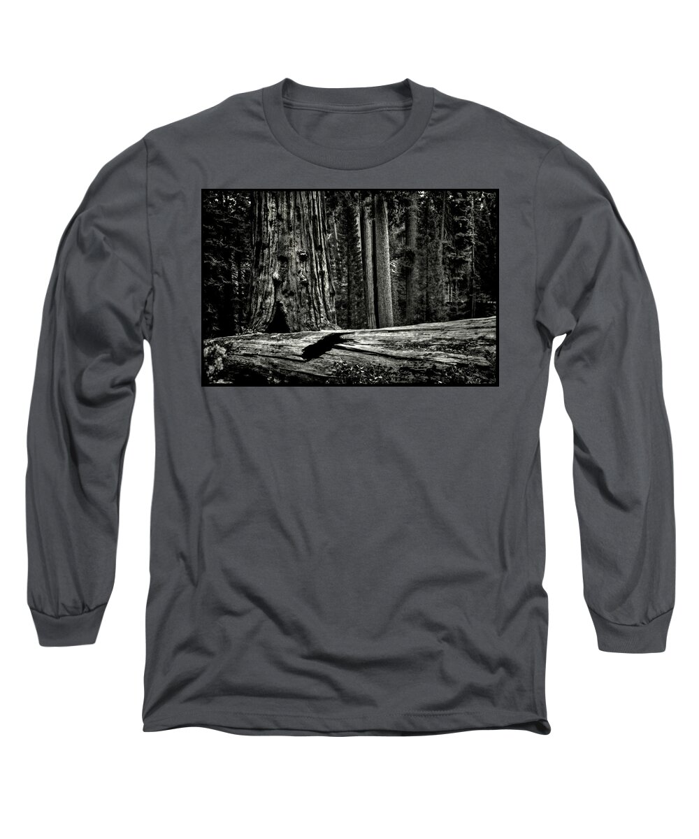 Usa Long Sleeve T-Shirt featuring the photograph Grant's Grove King's Canyon National Park #1 by Roger Passman