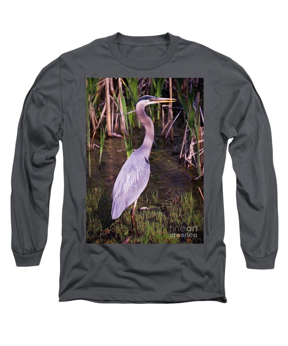Animals Long Sleeve T-Shirt featuring the photograph Great Blue Heron #1 by Tom Brickhouse
