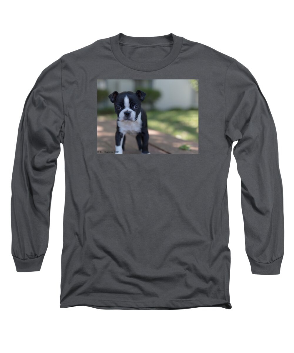 Boston Terrier Long Sleeve T-Shirt featuring the photograph Harley as a puppy #1 by Lora Lee Chapman