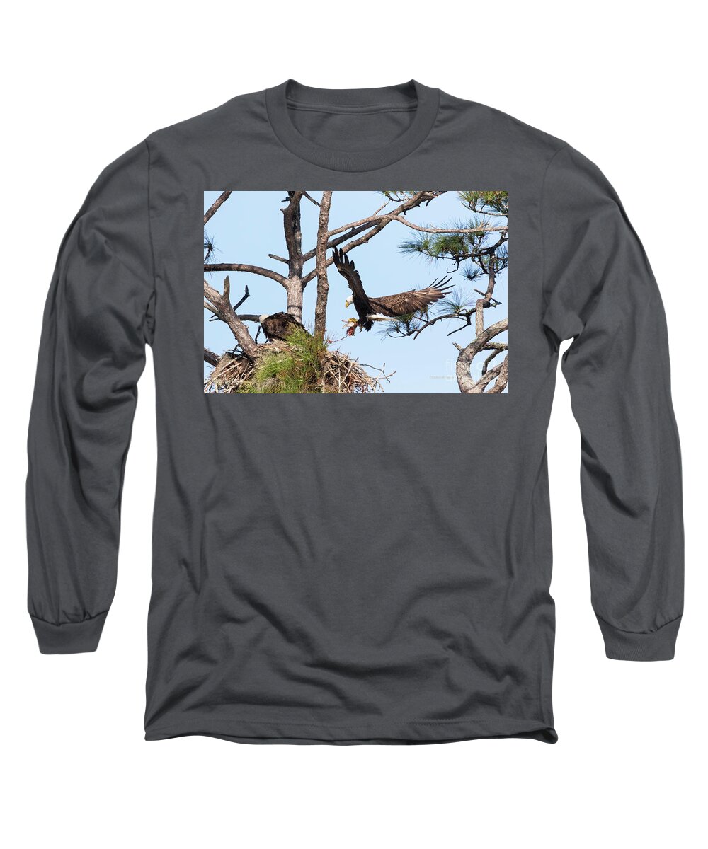 Eagles Long Sleeve T-Shirt featuring the photograph Incoming Food #2 by Deborah Benoit