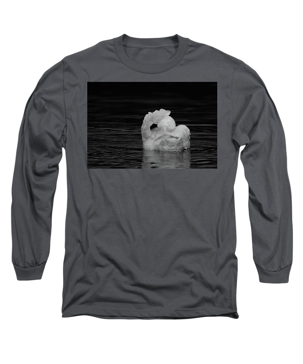 Swan Long Sleeve T-Shirt featuring the photograph No Pictures Please #2 by Eilish Palmer
