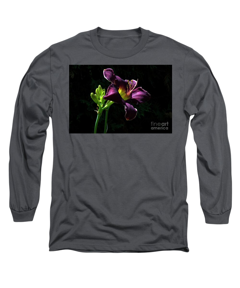 Lily Long Sleeve T-Shirt featuring the photograph Nobility #2 by Doug Norkum