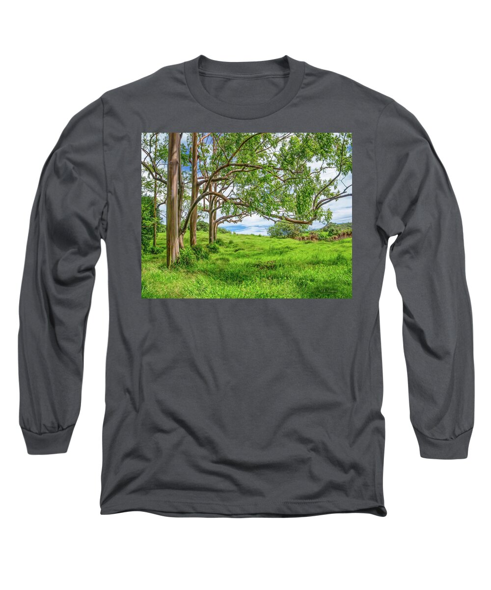 Eucalyptus Long Sleeve T-Shirt featuring the photograph Painted Forest #1 by Will Wagner