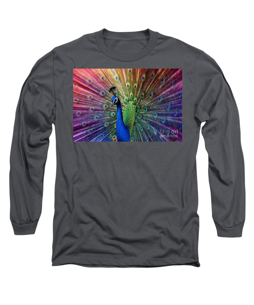 Beauty Long Sleeve T-Shirt featuring the photograph Peacock by Hannes Cmarits
