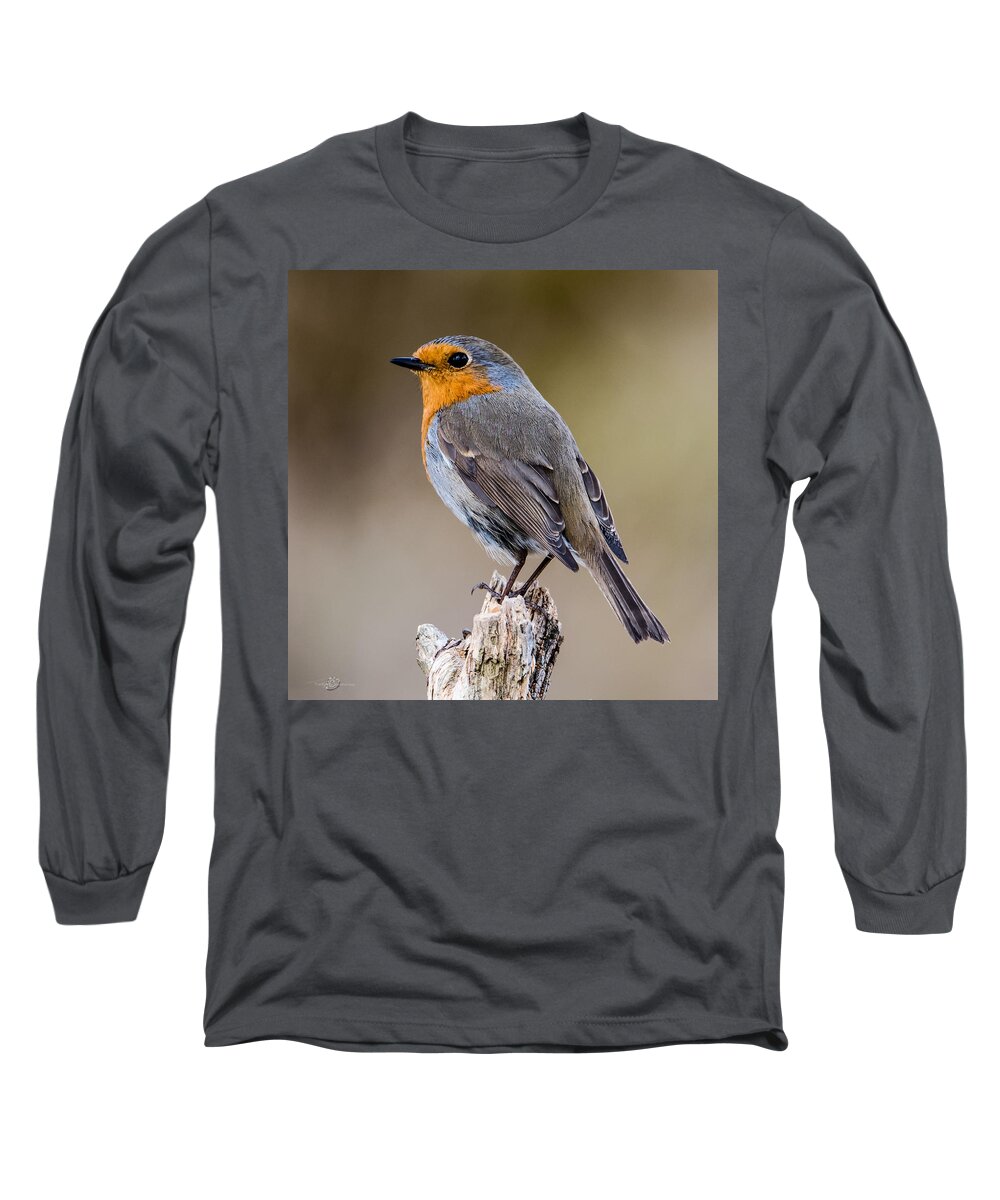 Perching Long Sleeve T-Shirt featuring the photograph Perching Robin by Torbjorn Swenelius