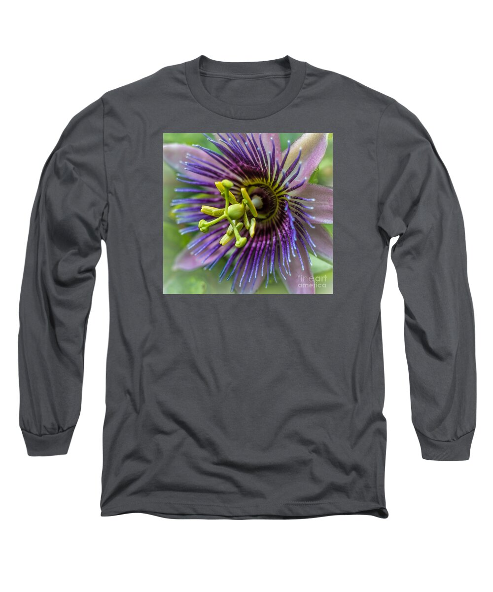 Nature Long Sleeve T-Shirt featuring the photograph Purple Passion #1 by George Kenhan