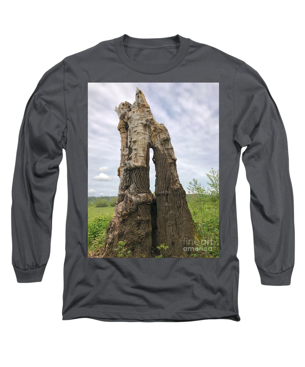 Photography Long Sleeve T-Shirt featuring the photograph Remains of the Day #1 by Sean Griffin