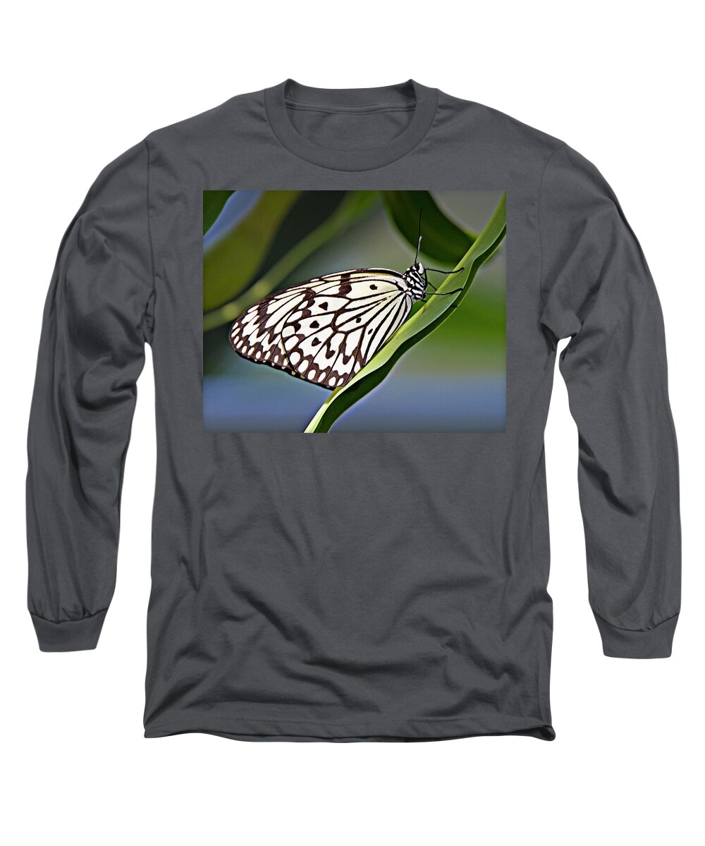 Butterfly Long Sleeve T-Shirt featuring the photograph Rice Paper Butterfly 8 by Walter Herrit