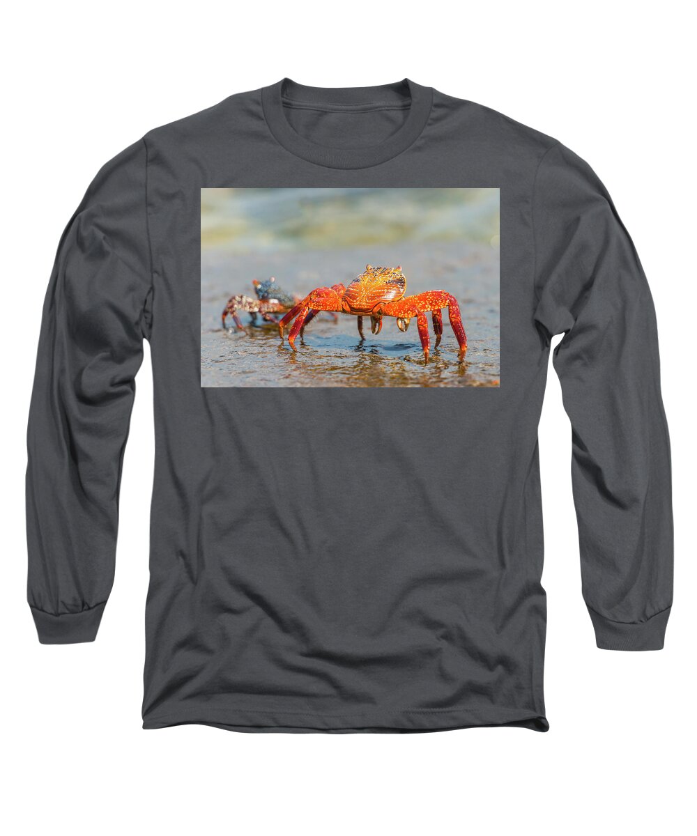 Galapagos Islands Long Sleeve T-Shirt featuring the photograph Sally Lightfoot crab on Galapagos Islands #1 by Marek Poplawski