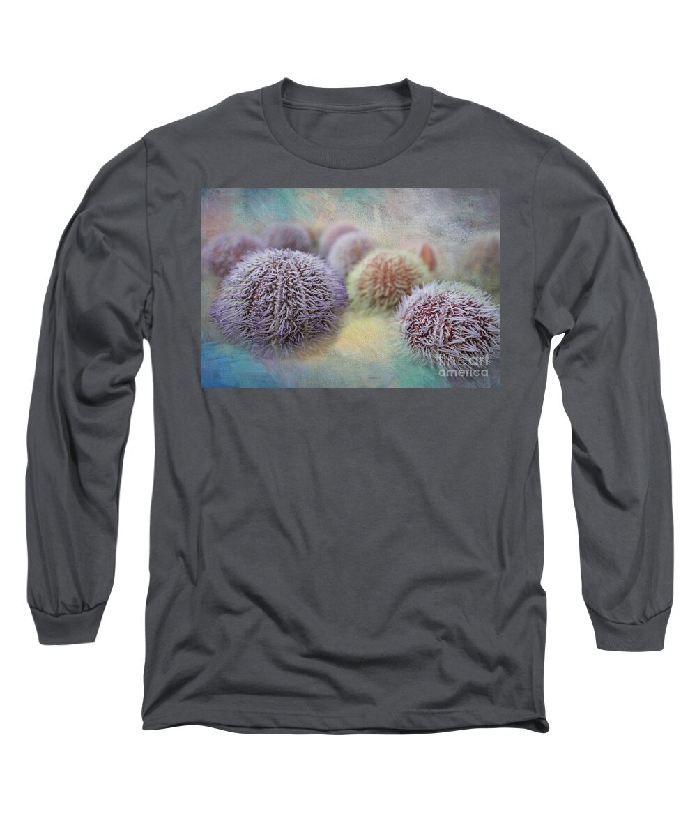 Sea Urchin Shells Long Sleeve T-Shirt featuring the photograph Sea Urchin Shells #1 by Eva Lechner