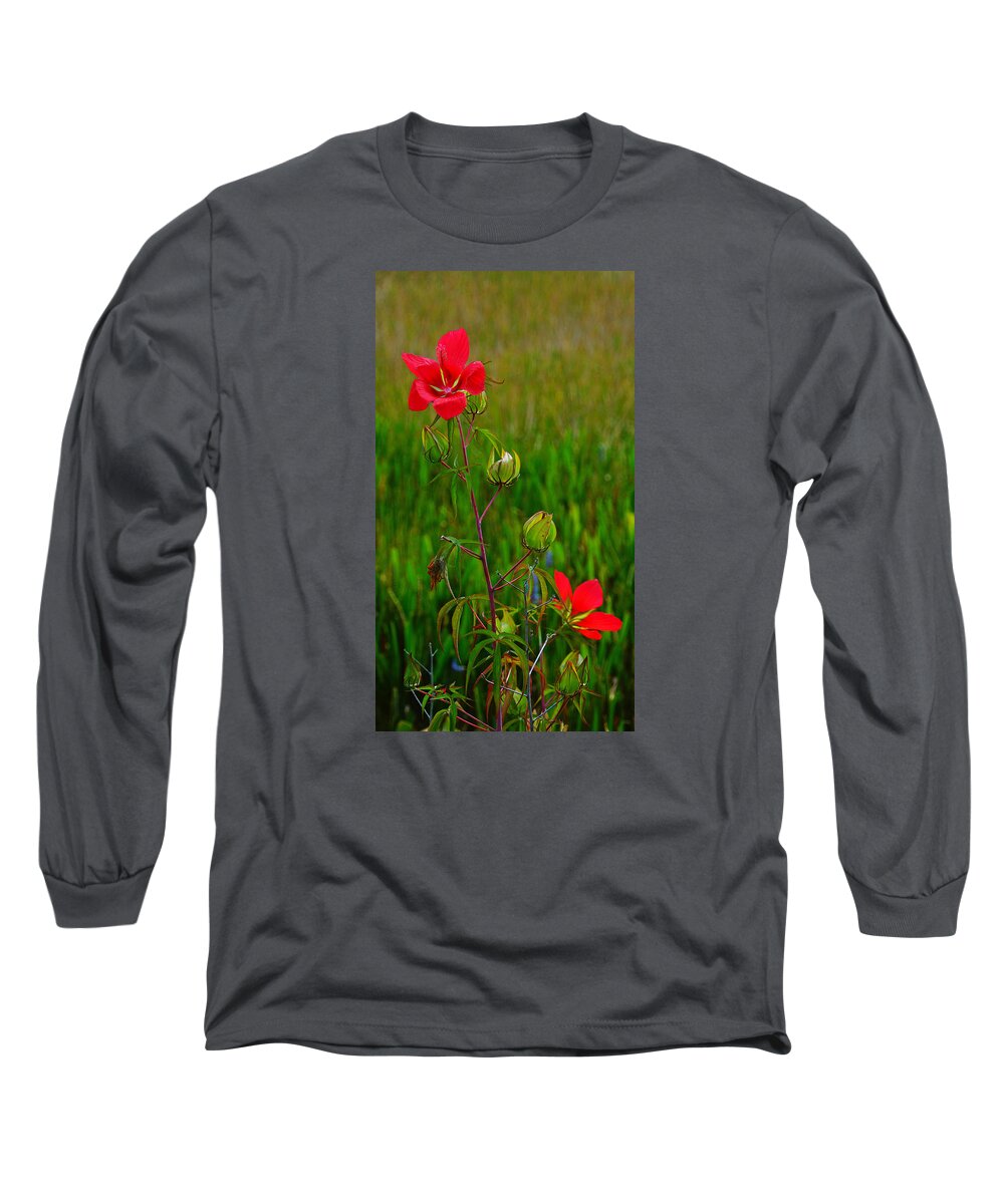 Flowers Long Sleeve T-Shirt featuring the photograph Texas Star Hibiscus #1 by Lawrence S Richardson Jr