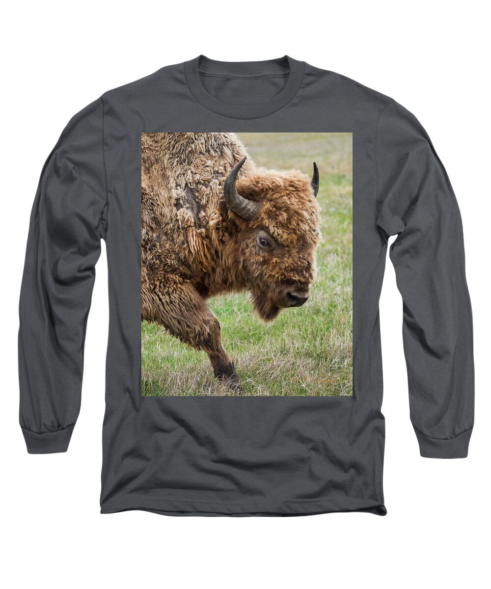 Bison Long Sleeve T-Shirt featuring the photograph The Beast #1 by Dan McGeorge