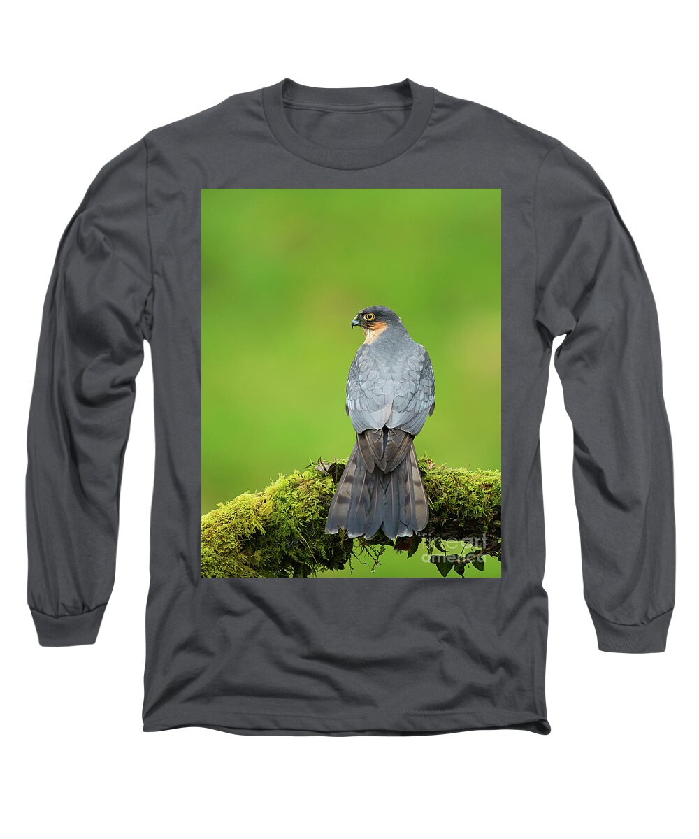 Sparrowhawk Long Sleeve T-Shirt featuring the photograph The Hunter #1 by Paul Scoullar