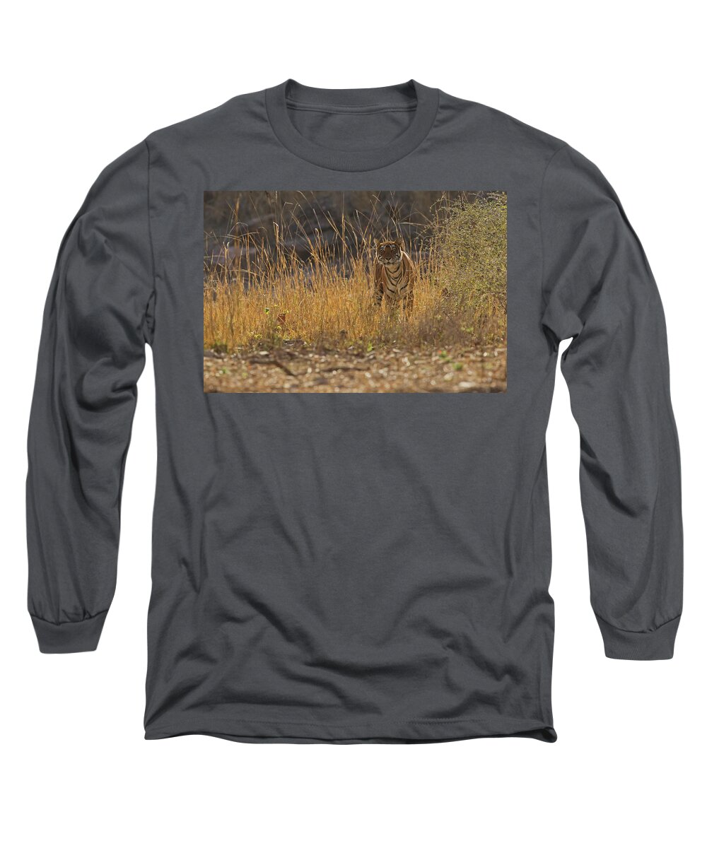 2017 Long Sleeve T-Shirt featuring the photograph Tigress #1 by Jean-Luc Baron