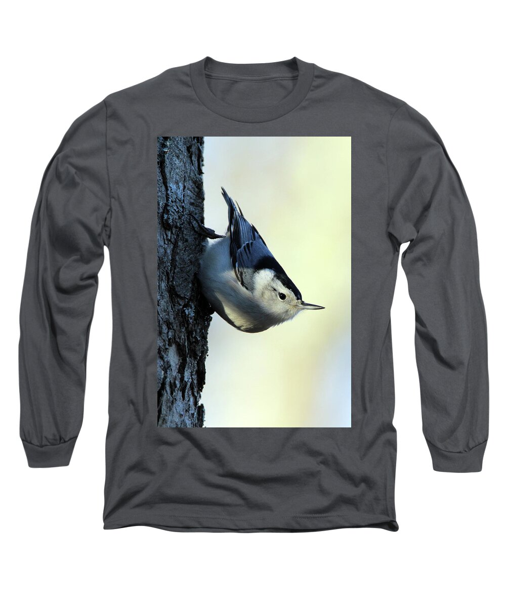 White Breasted Nuthatch Long Sleeve T-Shirt featuring the photograph White Breasted Nuthatch Wading River New York #1 by Bob Savage