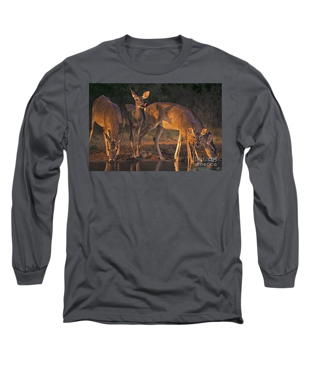 North America Long Sleeve T-Shirt featuring the photograph Whitetail Deer at Waterhole Texas #1 by Dave Welling