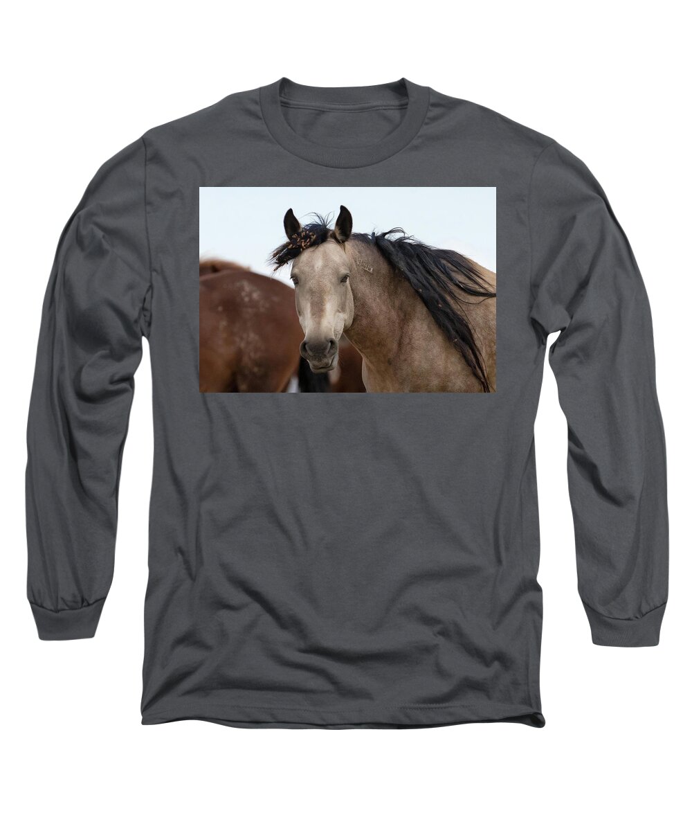 Cholla Long Sleeve T-Shirt featuring the photograph Wild Mustang #1 by Ronnie And Frances Howard