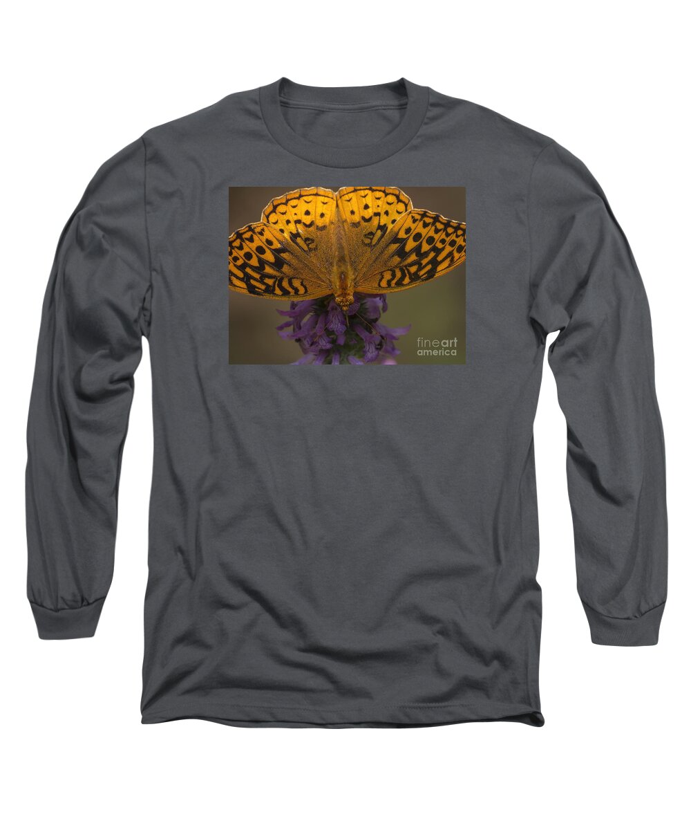 Insects Long Sleeve T-Shirt featuring the photograph Wingspan #1 by Lili Feinstein