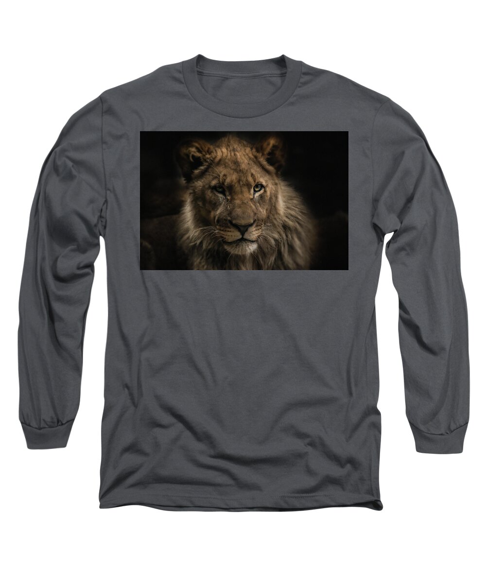 Lion Long Sleeve T-Shirt featuring the photograph Young Lion #1 by Christine Sponchia