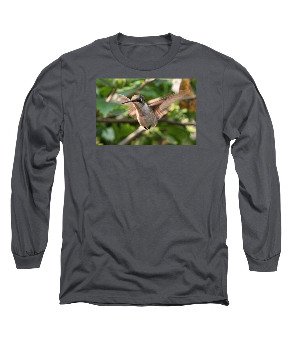 Hummingbirds Long Sleeve T-Shirt featuring the photograph Hummingbird #12 by John Freidenberg