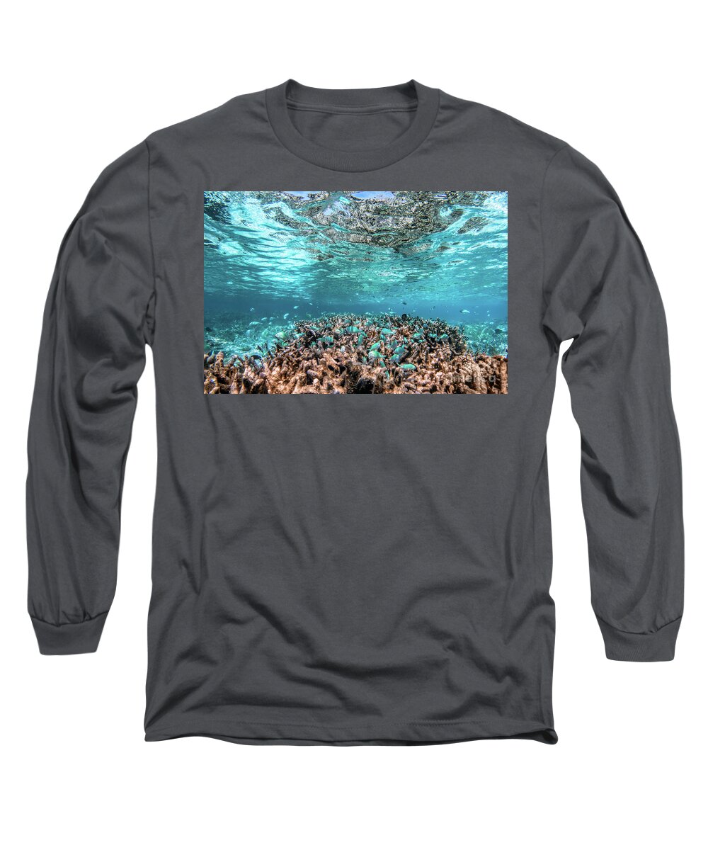 Underwater Long Sleeve T-Shirt featuring the photograph Underwater coral reef and fish in Indian Ocean, Maldives. #12 by Michal Bednarek