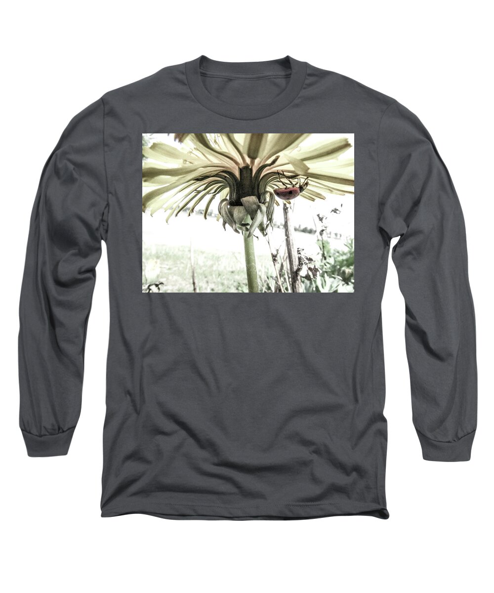 Dandelion Flower Long Sleeve T-Shirt featuring the photograph Ladybug #13 by Cesar Vieira