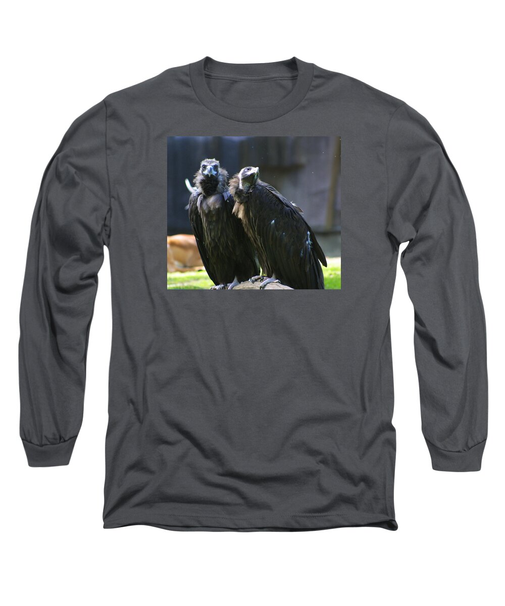 Zoo Long Sleeve T-Shirt featuring the photograph Zoo Scapes #15 by Jean Wolfrum