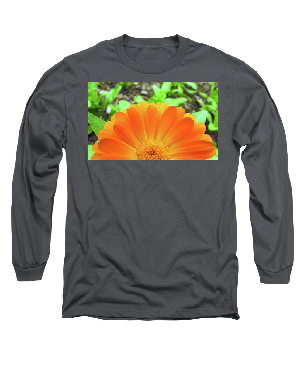 Mountain Long Sleeve T-Shirt featuring the photograph Flower #16 by Cesar Vieira