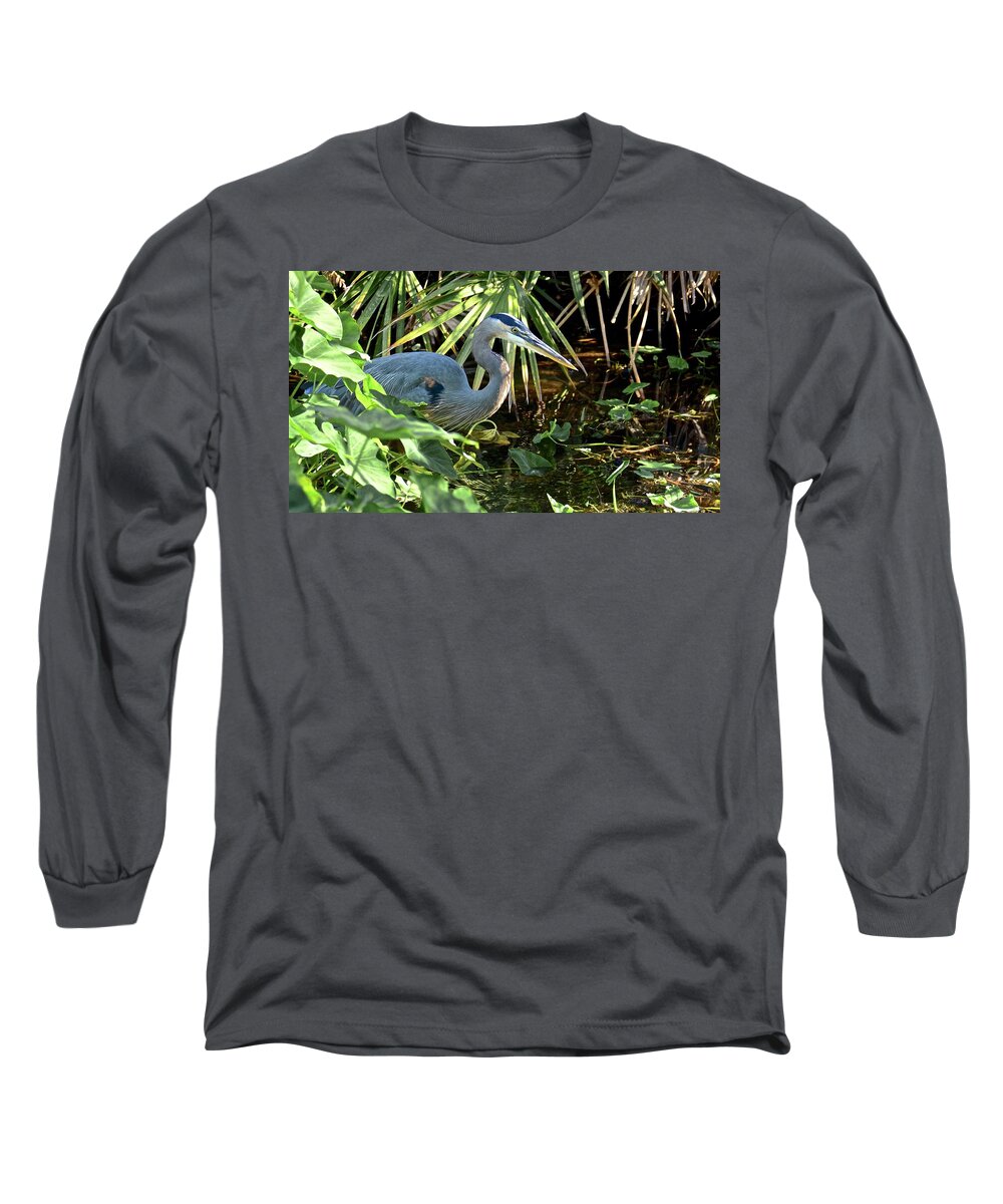 Water Long Sleeve T-Shirt featuring the photograph A Bird In The Bush #2 by Carol Bradley