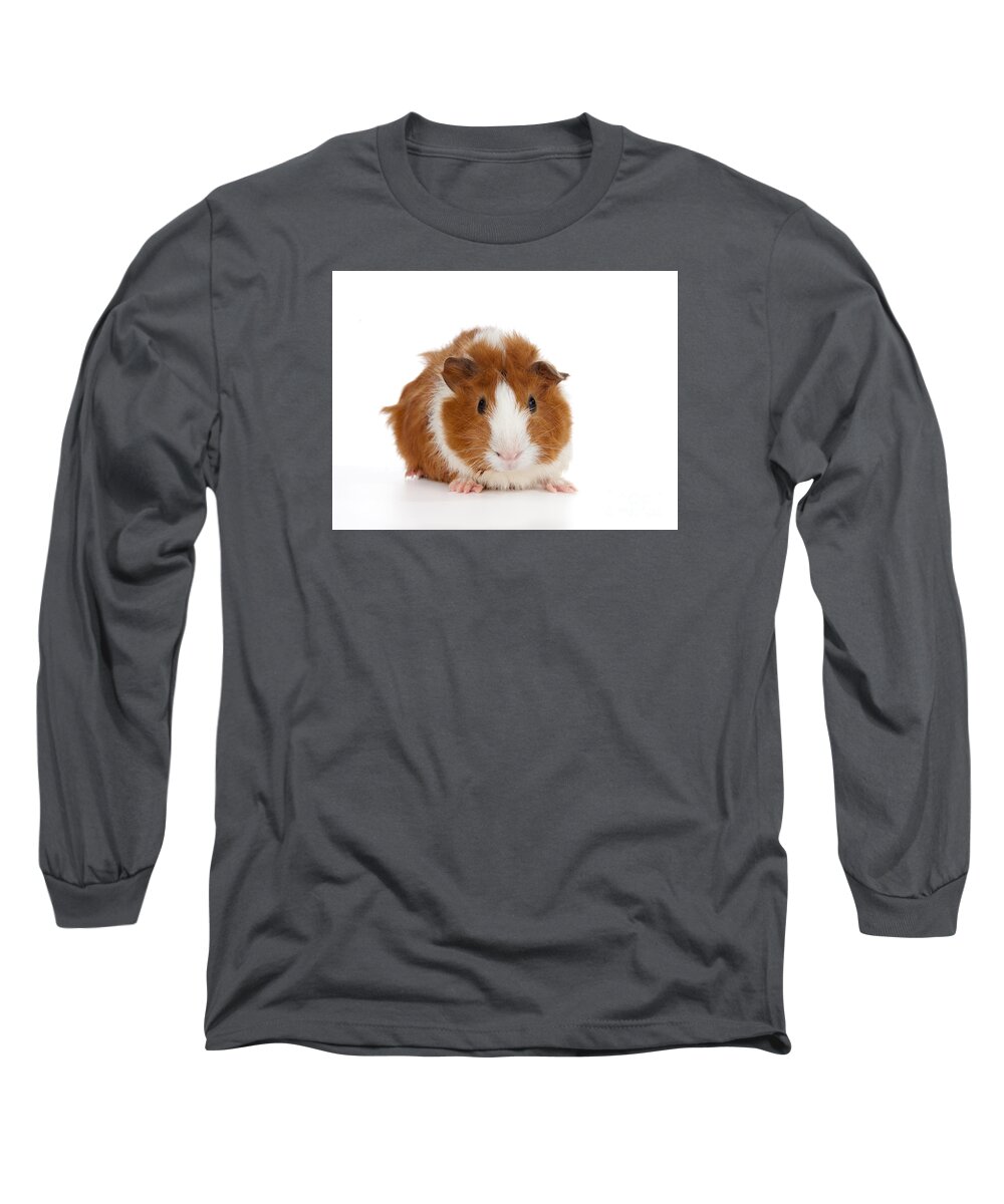 Abyssinian Guinea Pig Long Sleeve T-Shirt featuring the photograph Abyssinian Guinea Pig #2 by Anthony Totah